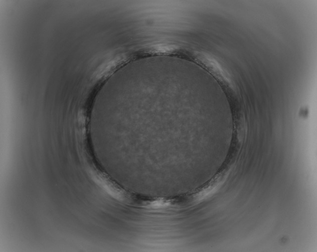 X0000097660366200802291432