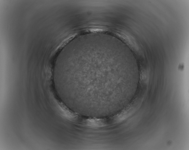 X0000097660367200802291432
