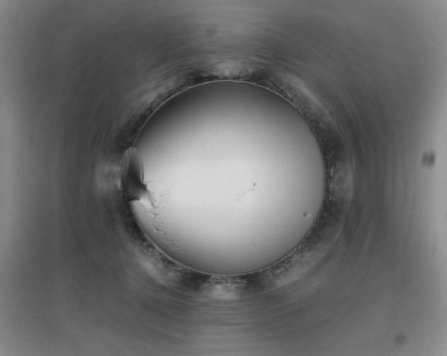 X0000097660368200802291432