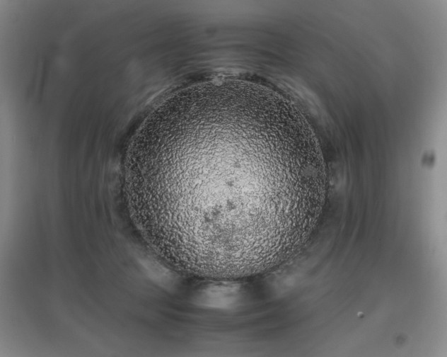 X0000097660369200802291432