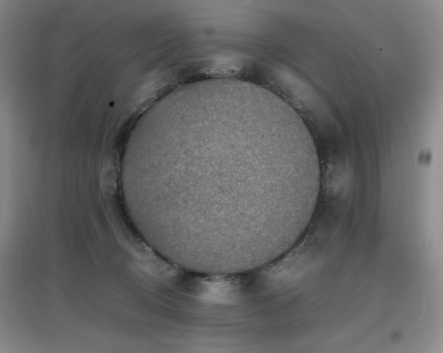 X0000097660370200802291432