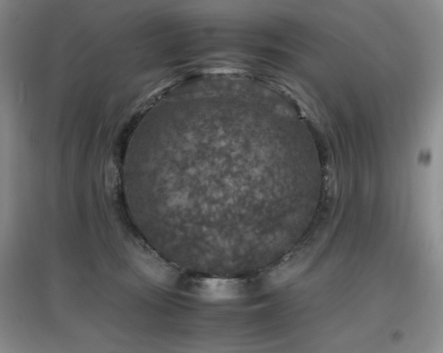 X0000097660371200802291432