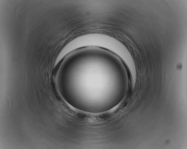 X0000097660372200802291432