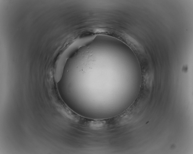 X0000097660373200802291432