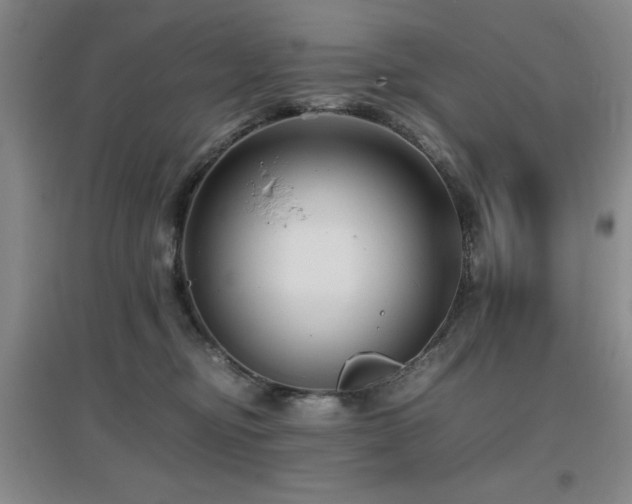 X0000097660374200802291432