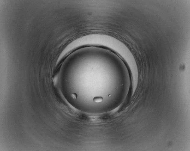 X0000097660376200802291432