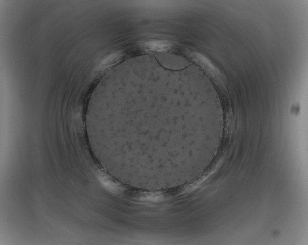 X0000097660377200802291432