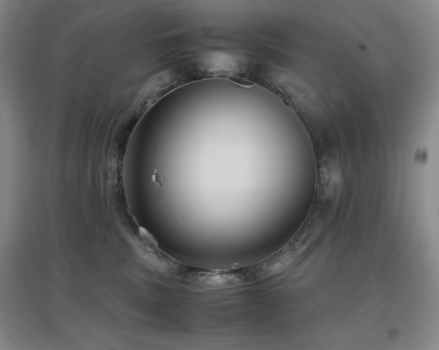 X0000097660379200802291432