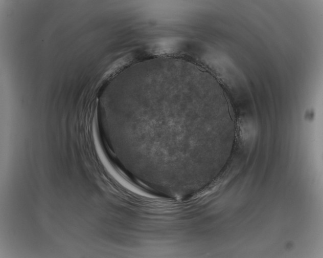 X0000097660380200802291432
