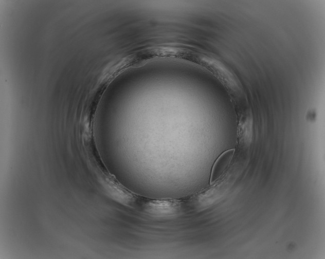 X0000097660381200802291432