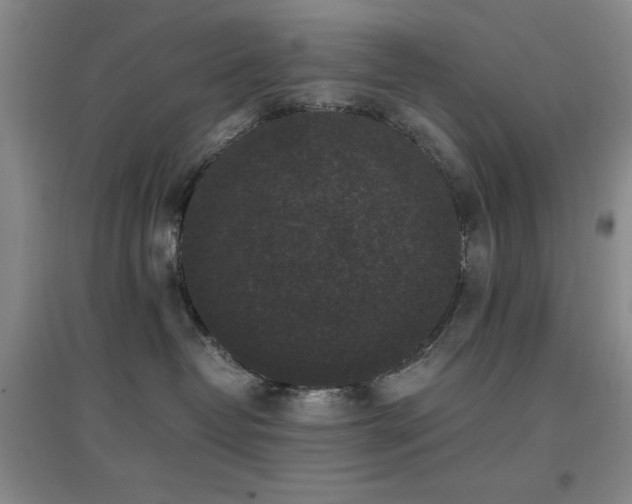 X0000097660382200802291432