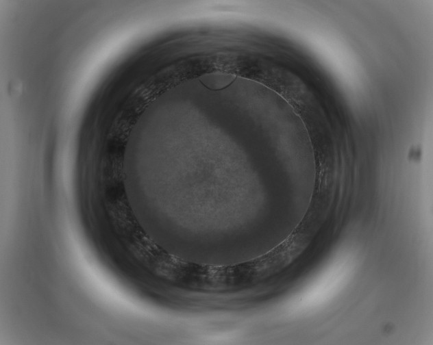 X0000097660383200802291432