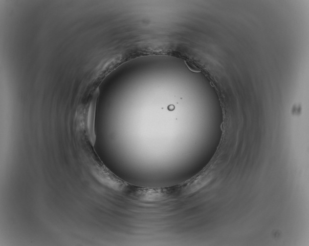 X0000097660384200802291432