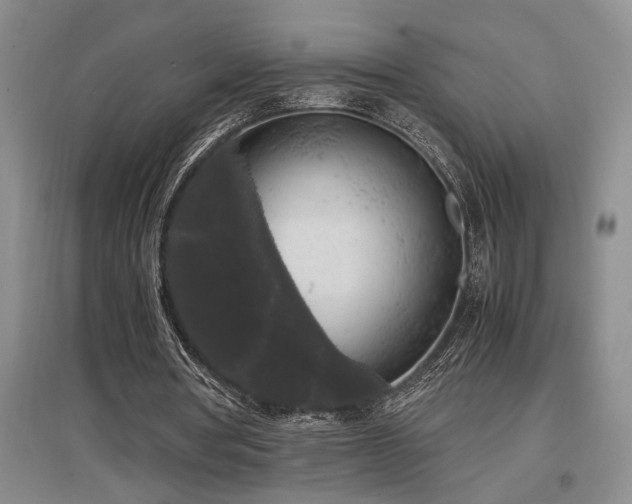 X0000097660386200802291432