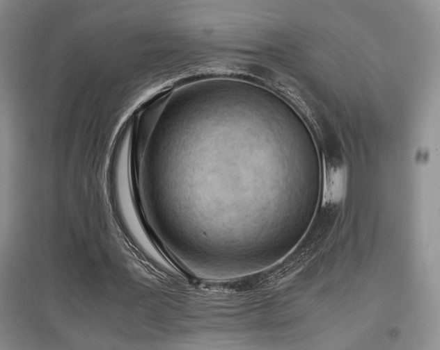X0000097660387200802291432