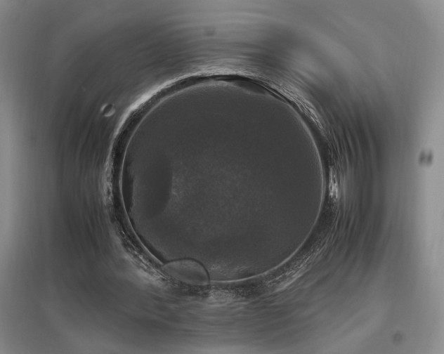 X0000097660388200802291432