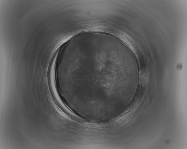 X0000097660389200802291432