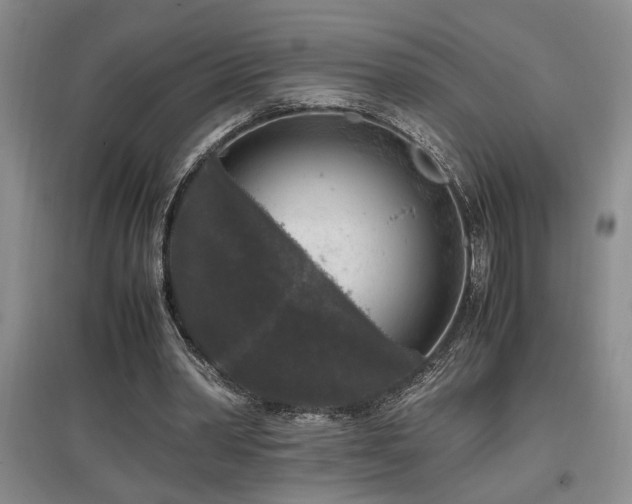 X0000097660390200802291432