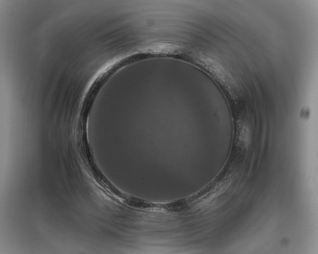 X0000097660392200802291432