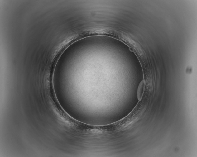 X0000097660394200802291432