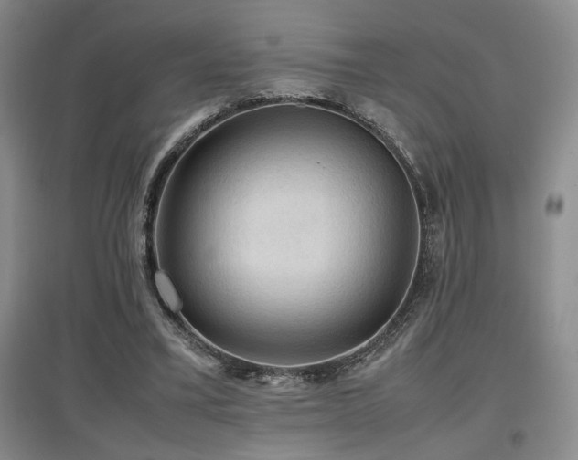 X0000097660395200802291431