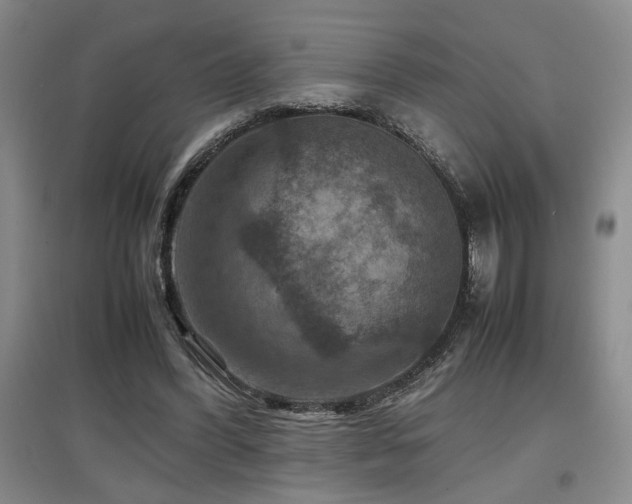 X0000097660396200802291431