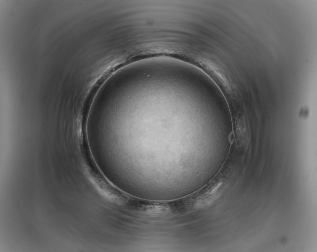 X0000097660398200802291431