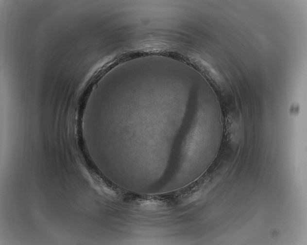X0000097660400200802291431