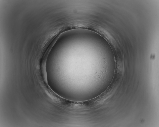 X0000097660401200802291431