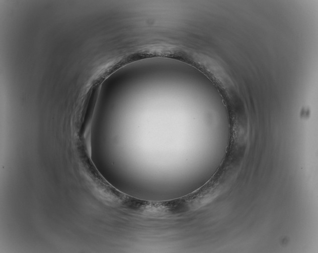 X0000097660403200802291431