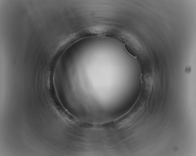 X0000097660404200802291431