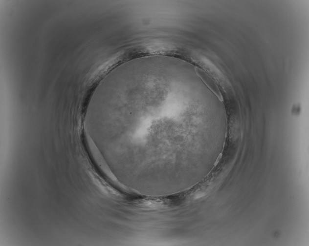 X0000097660405200802291431