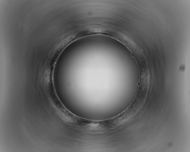 X0000097660406200802291431
