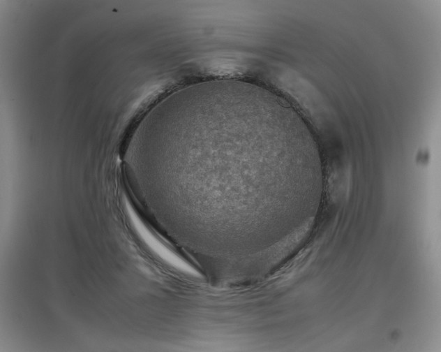X0000097660407200802291431