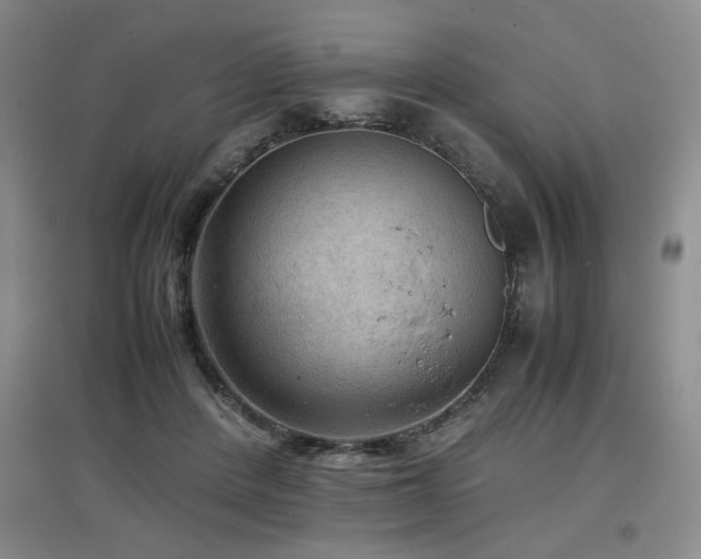 X0000097660408200802291431