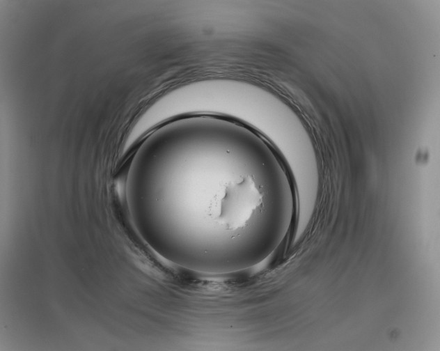 X0000097660409200802291431