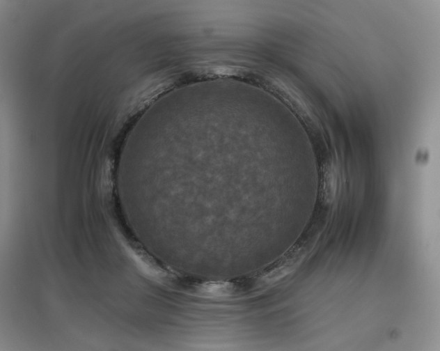 X0000097660410200802291431