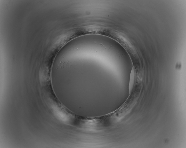 X0000097660411200802291431