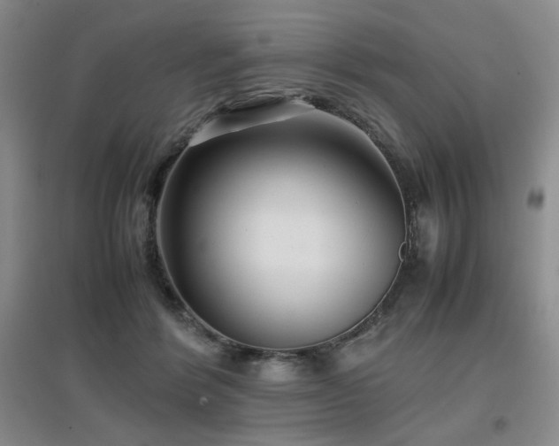 X0000097660412200802291431
