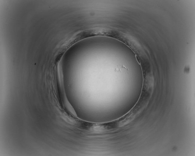 X0000097660413200802291431