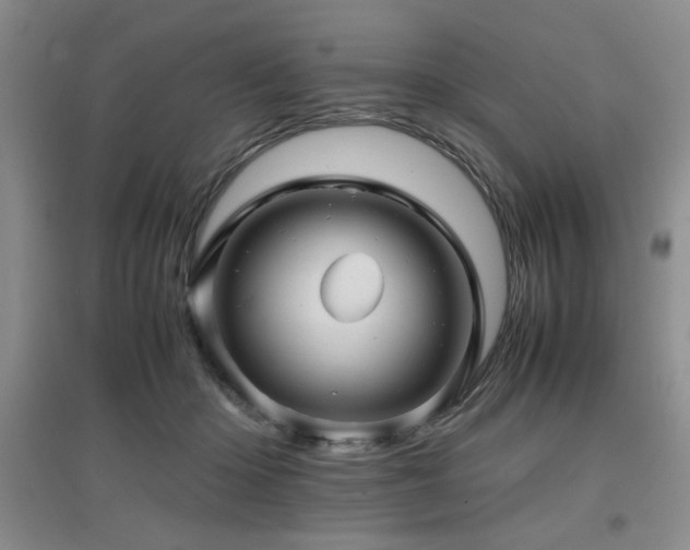 X0000097660414200802291431