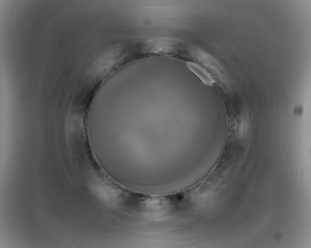 X0000097660415200802291431