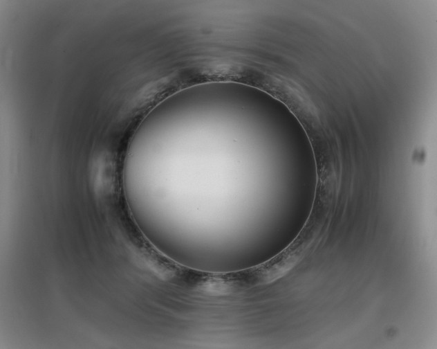 X0000097660416200802291431