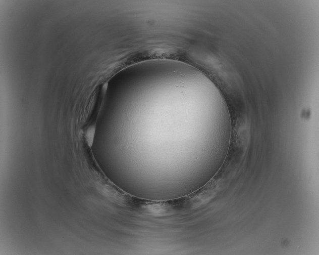 X0000097660417200802291431