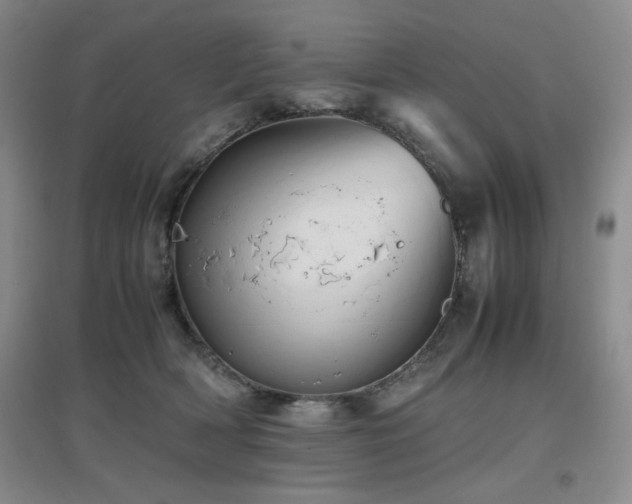 X0000097660418200802291431