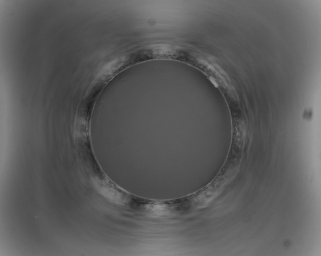 X0000097660419200802291431