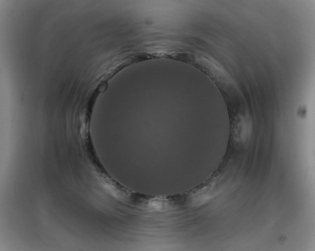 X0000097660420200802291431