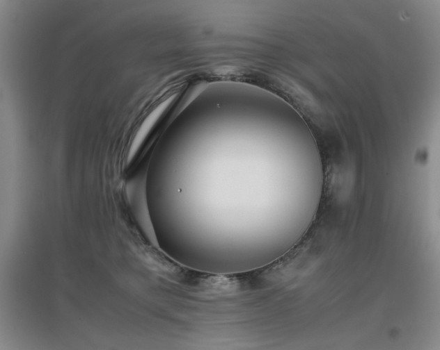 X0000097660421200802291431