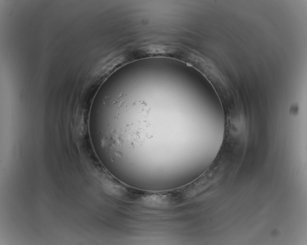 X0000097660422200802291431