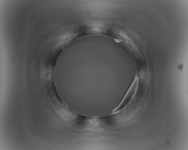 X0000097660423200802291431
